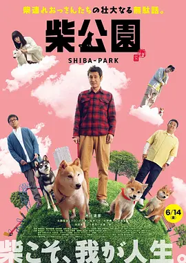 小伙的蔬菜店