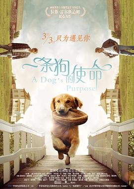 奥拉尔与小姐