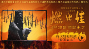 午夜免费福利在线