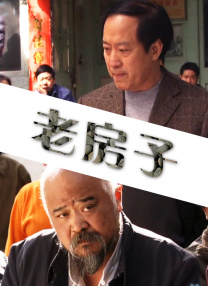国产精品视频成人