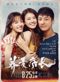 亚洲午夜视频在线观看