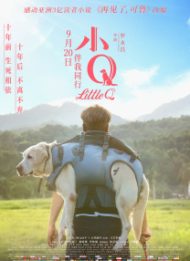亚洲精品456在线播放