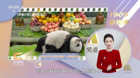 夜不归宿的妈妈