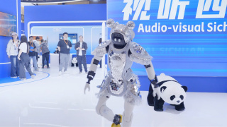国产成人精品视频播放